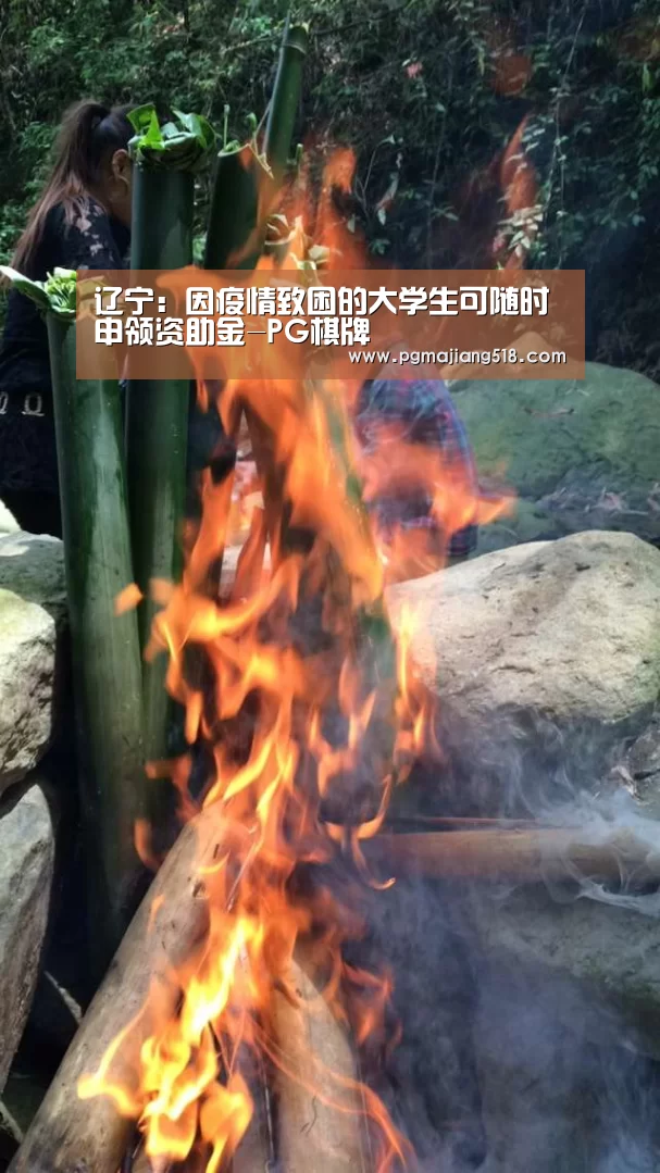 辽宁:因疫情致困的大学生可随时申领资助金-PG棋牌(图3) PG官网